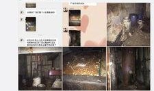 吉林市民爆料最新信息网,最新信息网揭示城市动态